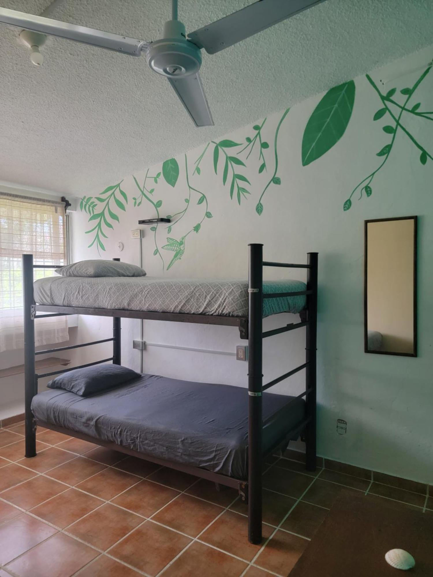 Albergue Venado-Ocho Cancún Exterior foto